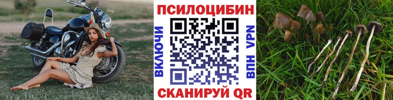 Галлюциногенные грибы MAGIC MUSHROOMS  где найти наркотики  Осташков 